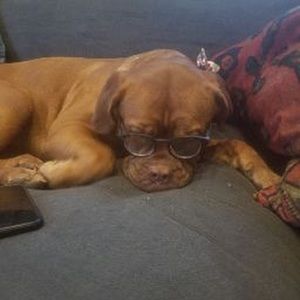 Meet your Posher, Balinda